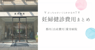【妊婦健診っていくら？】ついに全額出ました！私の健診費用まとめ｜愛育病院